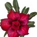๐บDaper (@donnaperreira1) Twitter profile photo ๐บDaper (@donnaperreira1) Twitter profile photo