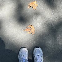 Leena (@phdnerdlelo) 's Twitter Profile