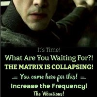 Matrix (@durchmano) 's Twitter Profile