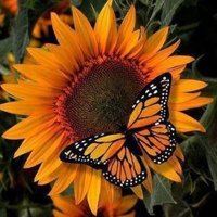 Ola 🎗️🧡🇵🇱🇮🇱🇺🇦 (@ola06562053) 's Twitter Profile Photo Ola 🎗️🧡🇵🇱🇮🇱🇺🇦 (@ola06562053) 's Twitter Profile Photo