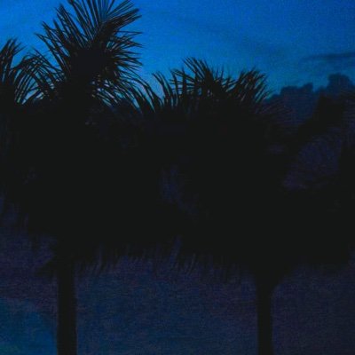 LAV1231234231's profile picture. 