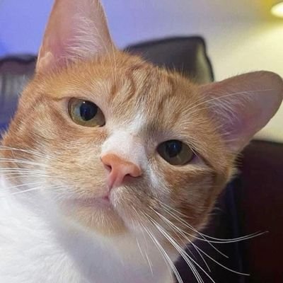 pensilpatah's profile picture. Semua lelaki sama