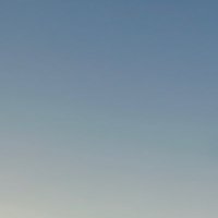 C (@vc13vc13) 's Twitter Profile