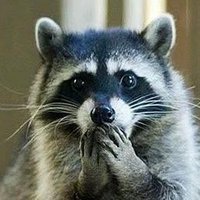 justme (@justme_idea) 's Twitter Profile