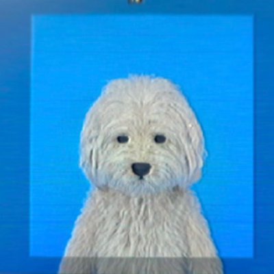 cu nurface Profile