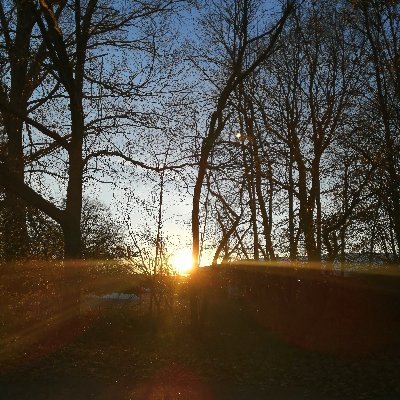 ShirPinzas's profile picture. Marketer who loves talking about music, films and memes.