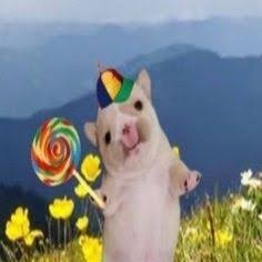 sloppyjoppyyy's profile picture. .....granny cream?
they/he freakazoid