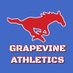 GHS Athletics (@gvineathletics) Twitter profile photo GHS Athletics (@gvineathletics) Twitter profile photo