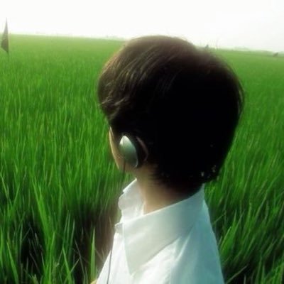 apollosdiety's profile picture. losers diary