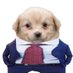 JustAnXUserGuy (@xstopguy) Twitter profile photo JustAnXUserGuy (@xstopguy) Twitter profile photo