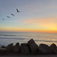 Serge Davidoff (@windandc) 's Twitter Profile