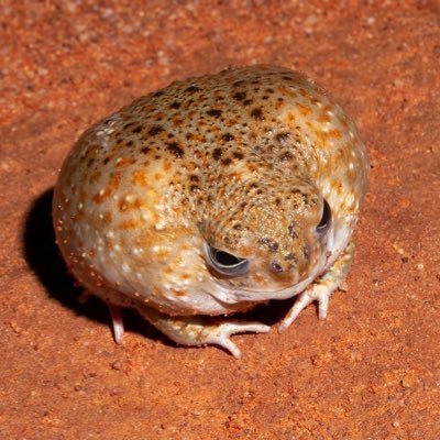 Cookie_152's profile picture. welcome to my account I am 24 and I really like forsaken and other fandoms I don’t think I will post here but thanks for reading this