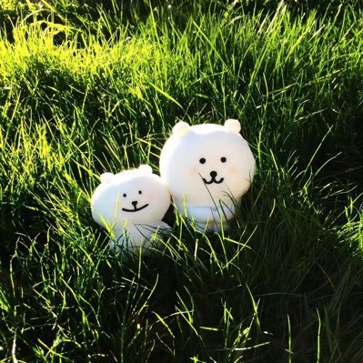 won_saidon's profile picture. 