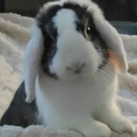 Miss TINGUETTE (@missgpadbol) 's Twitter Profile