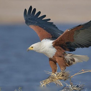 Pa_Zed's profile picture. Thank God!