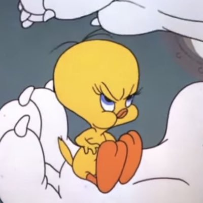 8V81b's profile picture. '96 🦊🐶🐿️🪨💂🏻🐰🐬