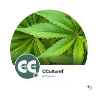 CCultureT (@frankertonshaah) 's Twitter Profile Photo CCultureT (@frankertonshaah) 's Twitter Profile Photo