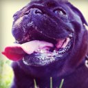 Jonathan Boehm - @Jon_boehm - Twitter