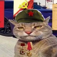 Francisfromleft4dead (@francisthechud) 's Twitter Profile Photo Francisfromleft4dead (@francisthechud) 's Twitter Profile Photo