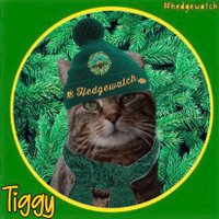 Tiggy & Denise(Mum) (@tiggy_deni35304) 's Twitter Profile Photo Tiggy & Denise(Mum) (@tiggy_deni35304) 's Twitter Profile Photo