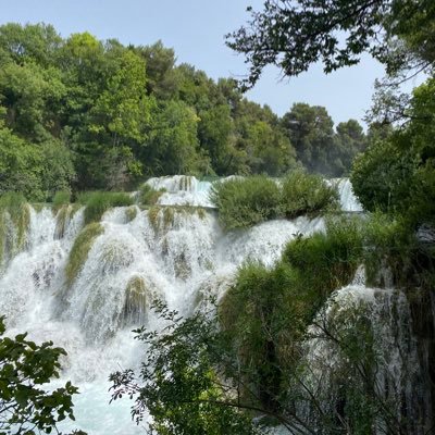 Lui_Beans's profile picture. Just tryna do my thing     Seahawks 💚💙