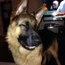 Toby :ǒ: (@fishtbh) Twitter profile photo Toby :ǒ: (@fishtbh) Twitter profile photo
