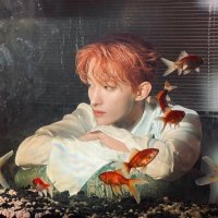 stingray (@stingraysanamia) 's Twitter Profile