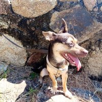 Ellie 🇲🇽 (@eliz1a) 's Twitter Profile Photo Ellie 🇲🇽 (@eliz1a) 's Twitter Profile Photo