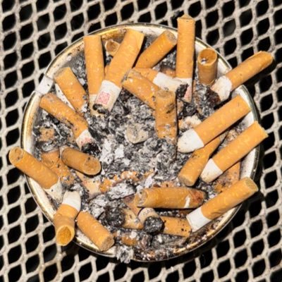 Sydneycryptogod's profile picture. meme coins or slots? both dumb as fuck but I have more chance in meme coins it seems.