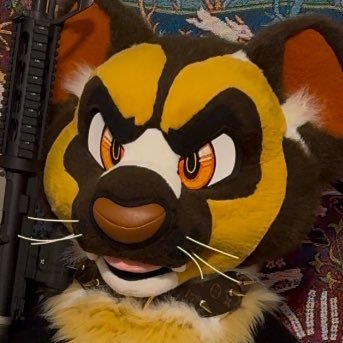 | she/they 18 | 🩷💛🩵 | multisuiter | fursuit maker & artist | Equestrian | Georgia fur | ♏︎ | 🛩 student pilot 🛩 |