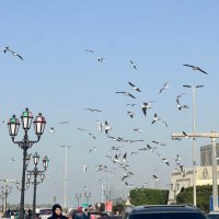 Noura 🤍 (@rawagdy) 's Twitter Profile