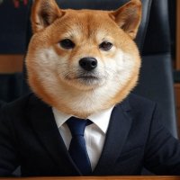 Cheems Neil (@stickykeef) 's Twitter Profile