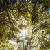Green Living Aus (@greenlivingaust) Twitter profile photo Green Living Aus (@greenlivingaust) Twitter profile photo