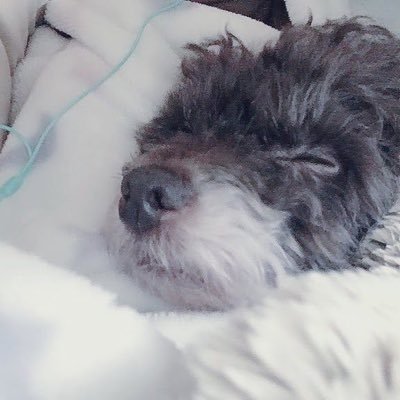 いとさんのプロフィール画像