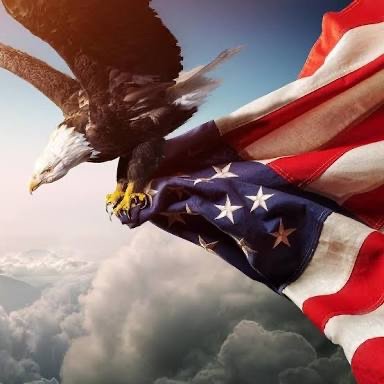AmericaDreaminv's profile picture. Trading, Real Estate & Everything Finance