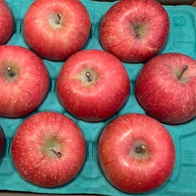 kabu_yutai23's profile picture. 2娘の母/パート主婦/2023年から投資開始/まだまだ初心者🔰/失敗も多々/投資系YouTubeにて猛勉強中/株主優待にハマり少しずつ保有/クロス/NISA/オンカン/無言フォロー失礼します/仲良くしてもらえると嬉しいです♪/#株クラ の方と繋がりたい/よろしくお願いします🤗