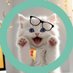 猫部長😽AI依存型副業🤖→アフィ33万→note参戦→結果発表 (@s2hvfm) Twitter profile photo 猫部長😽AI依存型副業🤖→アフィ33万→note参戦→結果発表 (@s2hvfm) Twitter profile photo