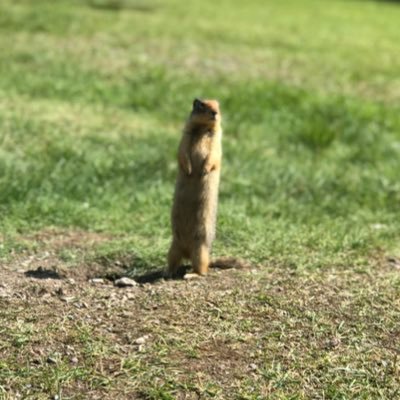 AJ_Clipz's profile picture. 