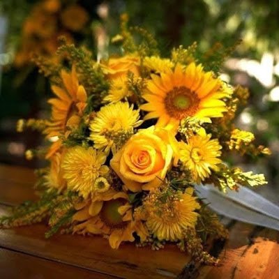 tonarde56732's profile picture. 