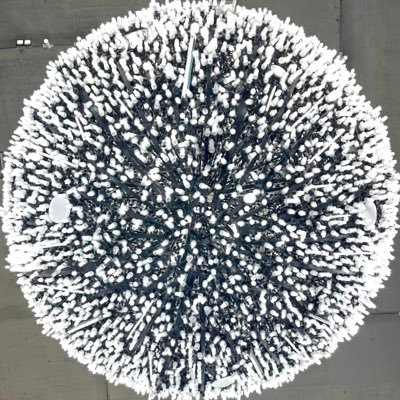 struan888's profile picture. Producer & CD