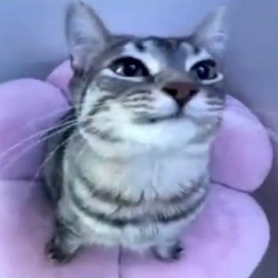 Easily101's profile picture. self made gabillionaire