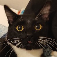 Babero (@babero9) 's Twitter Profile Photo