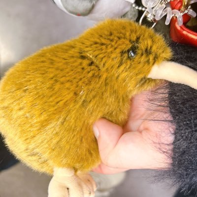 Kiui_Furasuta's profile picture. 