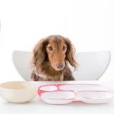 UjIkmAho6kKhMNy's profile picture. はじめまして
テレビで気になったことなどをつぶやきます
新しいものが見つかったりして楽しですね。