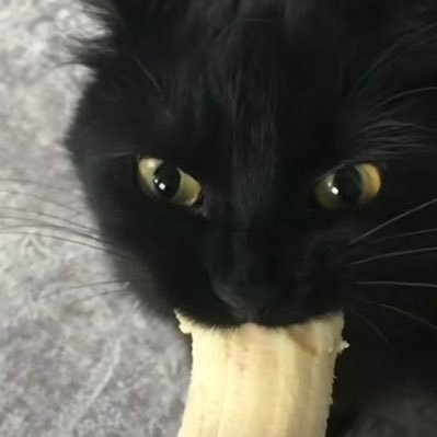 emmany160's profile picture. 