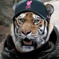 hariharan 🇳🇱🇺🇾 (@hari_ram18) 's Twitter Profile