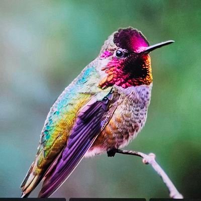 Account used by the team of talented technicians at @InviseSolutions.
› All Customers & Clients: Account not monitored or used for client communication.