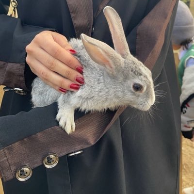 Hbxz_27's profile picture. 