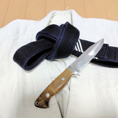 北海道で伝統的な武術を稽古するグループです。
武術や流派の枠にとらわれず、大東流、システマ、合気道、空手などの共通原理を研究しています。主に道東で活動しています。お問合せはコチラ tma.hokkaido@gmail.com