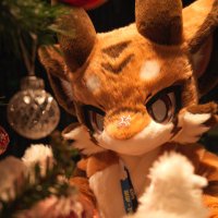 一只米乐 (@yizhimile1) 's Twitter Profile Photo